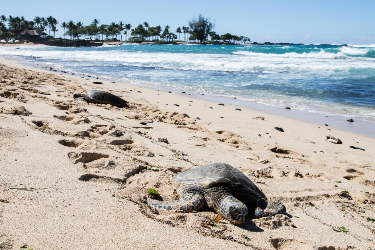 Sohana Lifestyle I Leeven's I Kona Apartamento Kailua-Kona